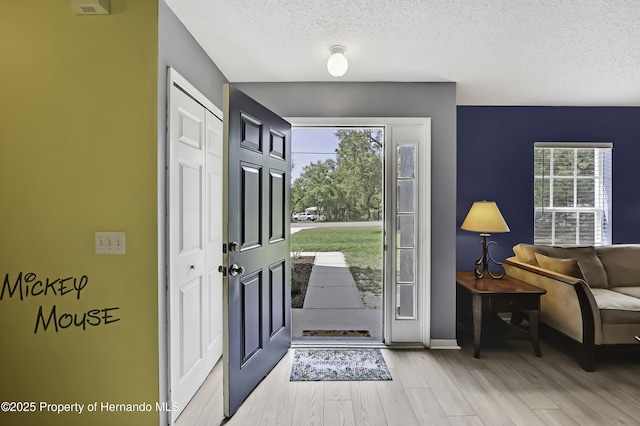 11257 Persimmon Ave, Weeki Wachee, FL 34614 - foyer entrance with a wealth of natural light, wood finished floors, a textured ceiling, and baseboards
