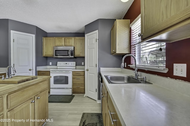 11257 Persimmon Ave, Weeki Wachee, FL 34614 - kitchen with electric range, stainless steel microwave, light countertops, and a sink