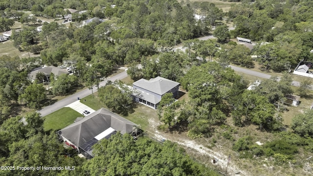 11257 Persimmon Ave, Weeki Wachee, FL 34614 - aerial view