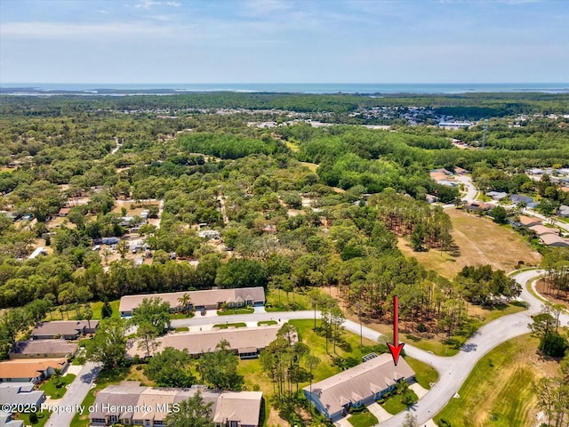 18441 Whitacre Cir, Hudson, FL 34667 - aerial view featuring a view of trees and a residential view