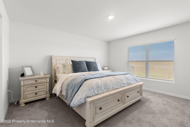 bedroom with baseboards and carpet floors