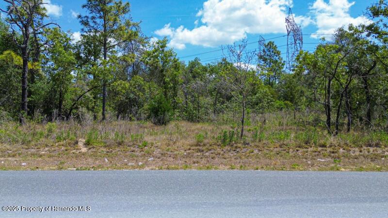 0 Dusky Warbler Rd, Brooksville, FL 34614