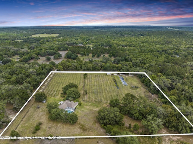 3011 Endsley Rd, Brooksville, FL 34604 - birds eye view of property with a wooded view and a rural view