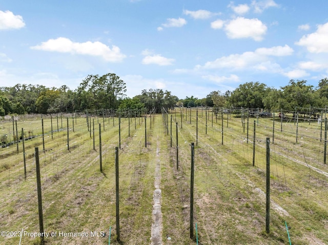3011 Endsley Rd, Brooksville, FL 34604 - view of yard with a rural view and fence
