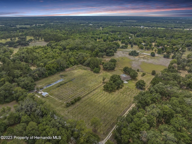 3011 Endsley Rd, Brooksville, FL 34604 - bird's eye view with a wooded view and a rural view