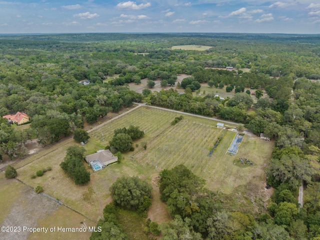 3011 Endsley Rd, Brooksville, FL 34604 - birds eye view of property with a rural view and a view of trees