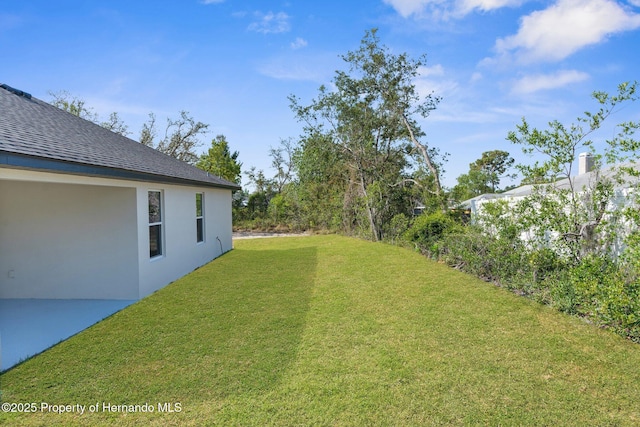 14042 Amero Ln, Spring Hill, FL 34609 - view of yard