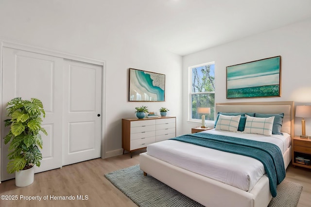 14042 Amero Ln, Spring Hill, FL 34609 - bedroom with a closet, light wood-style floors, and baseboards