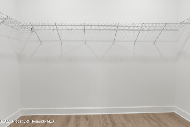 14042 Amero Ln, Spring Hill, FL 34609 - walk in closet with light wood-style flooring