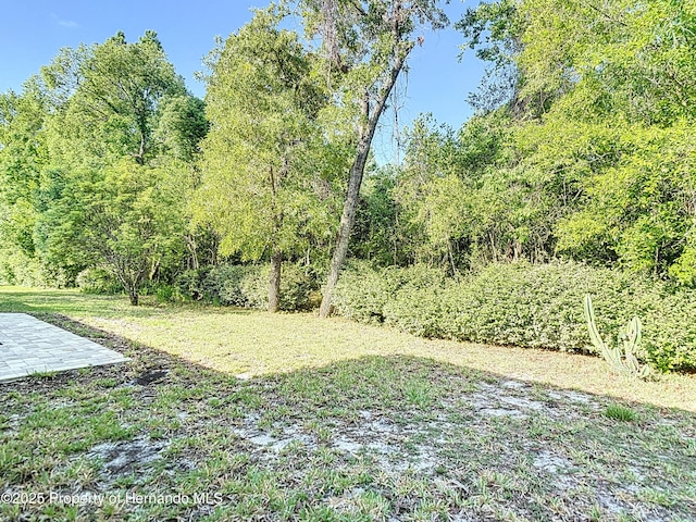 view of yard with a view of trees