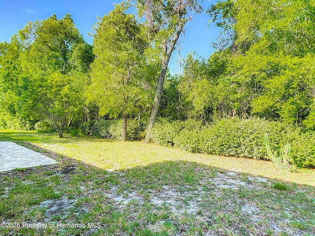 view of yard with a view of trees