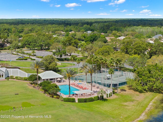 bird's eye view with a forest view
