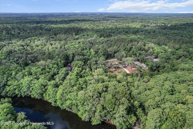 6373 E River Rd, Hernando, FL 34442 - aerial view with a view of trees and a water view