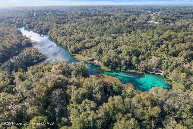 6373 E River Rd, Hernando, FL 34442 - birds eye view of property with a water view and a forest view
