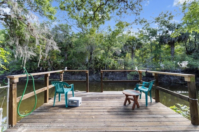 6373 E River Rd, Hernando, FL 34442 - view of dock