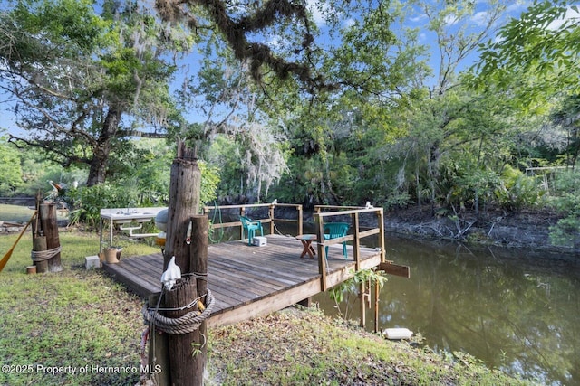 6373 E River Rd, Hernando, FL 34442 - dock area with a water view