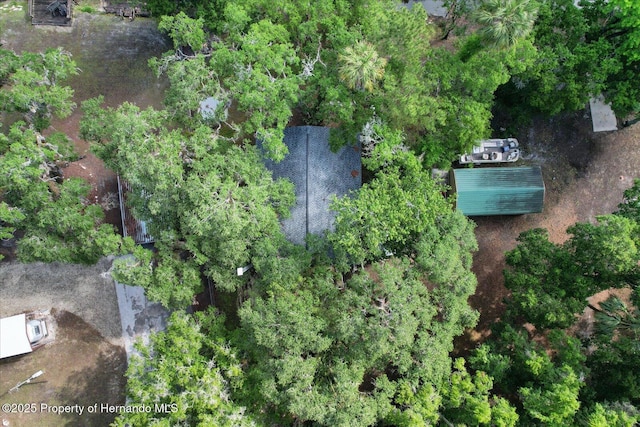 6373 E River Rd, Hernando, FL 34442 - aerial view