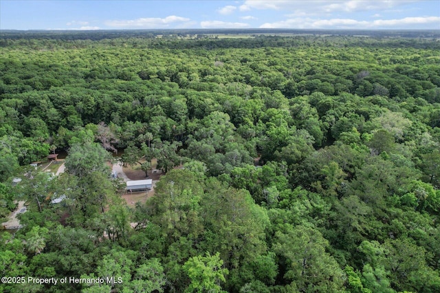 6373 E River Rd, Hernando, FL 34442 - drone / aerial view with a view of trees
