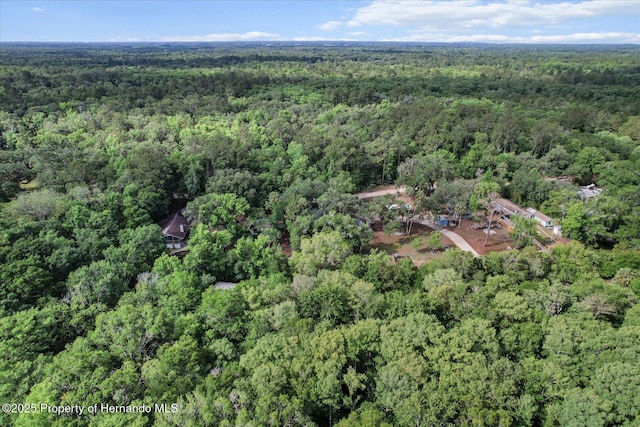 6373 E River Rd, Hernando, FL 34442 - birds eye view of property featuring a wooded view