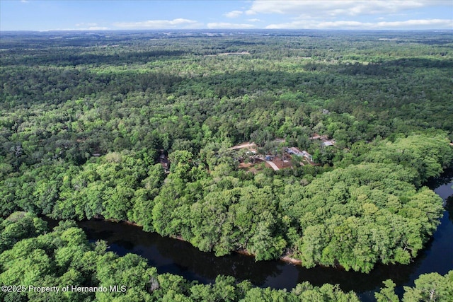 6373 E River Rd, Hernando, FL 34442 - birds eye view of property featuring a view of trees and a water view