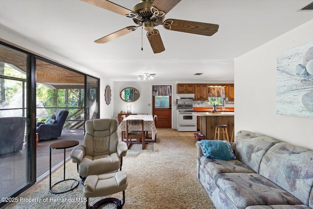 6373 E River Rd, Hernando, FL 34442 - living area with visible vents, a ceiling fan, and light colored carpet