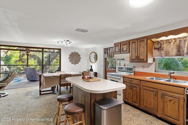 6373 E River Rd, Hernando, FL 34442 - kitchen with visible vents, electric range, a breakfast bar, under cabinet range hood, and a sink