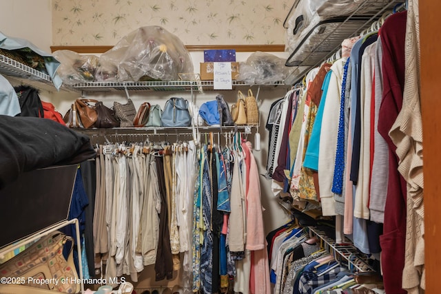 7353 Dogwood, Spring Hill, FL 34607 - view of spacious closet