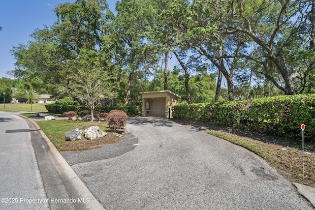 7353 Dogwood, Spring Hill, FL 34607 - view of property hidden behind natural elements featuring driveway