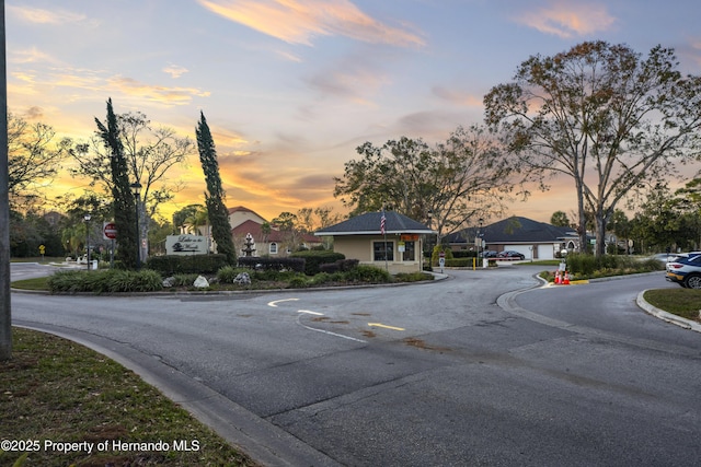 7353 Dogwood, Spring Hill, FL 34607 - view of road with curbs