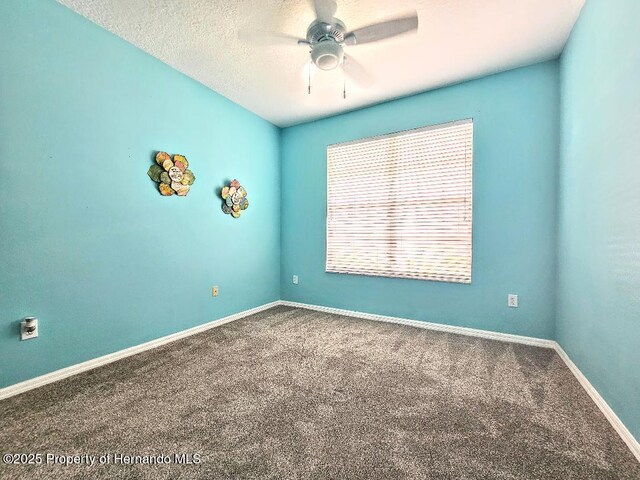4214 Canongate Ct, Spring Hill, FL 34609 - spare room featuring carpet, a ceiling fan, and a textured ceiling
