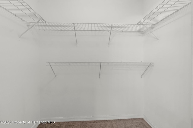 6440 Curtiss Ln, Spring Hill, FL 34608 - walk in closet featuring carpet