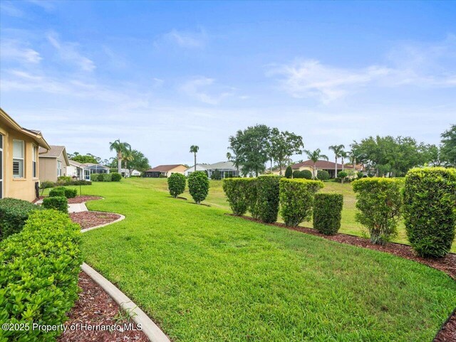 18514 Hidden Pines Way, Hudson, FL 34667 - view of grassy yard featuring a residential view