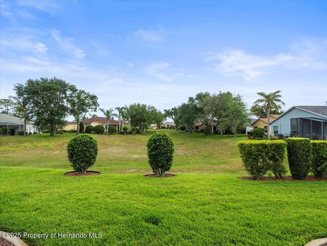 18514 Hidden Pines Way, Hudson, FL 34667 - view of green lawn