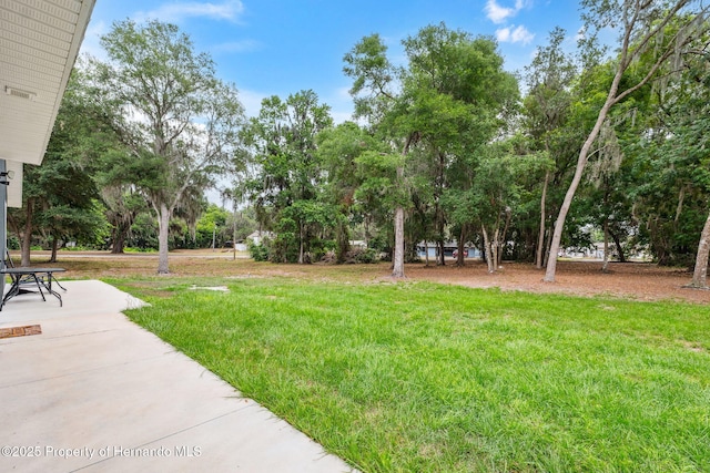 1161 County Road 443, Lake Panasoffkee, FL 33538 - photo 31
