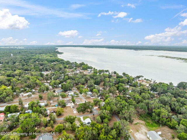 1161 County Road 443, Lake Panasoffkee, FL 33538 - photo 43