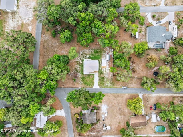 1161 County Road 443, Lake Panasoffkee, FL 33538 - photo 45