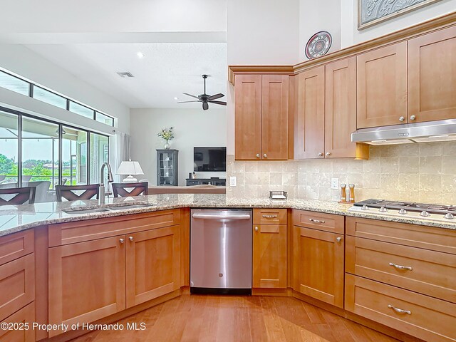 kitchen with appliances with stainless steel finishes, a sink, under cabinet range hood, ceiling fan, and tasteful backsplash