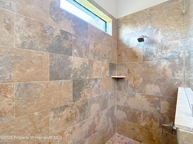 bathroom view of tiled shower