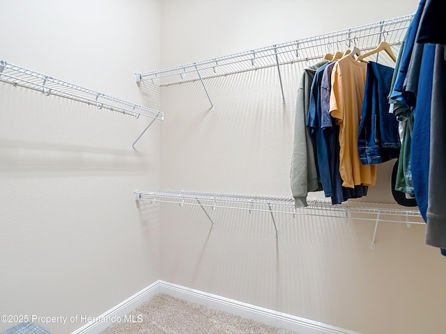 spacious closet with carpet floors