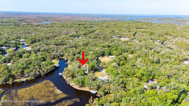 6139 S Royal Dr, Homosassa, FL 34446 - photo 28
