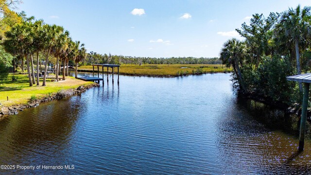 6139 S Royal Dr, Homosassa, FL 34446 - photo 32