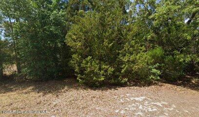 2672 S Willow Ter, Homosassa, FL 34448
