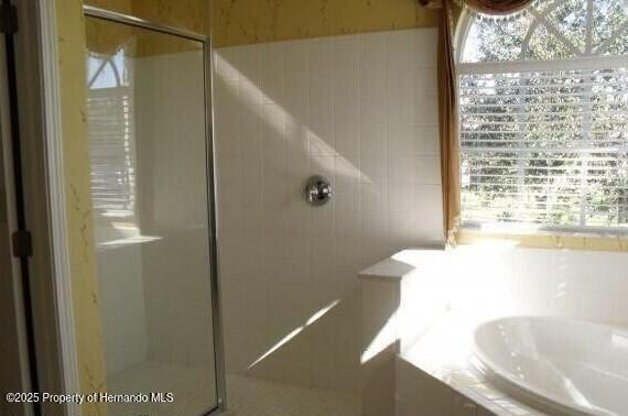 4301 Blakemore, Spring Hill, FL 34609 - bathroom featuring a stall shower and a garden tub