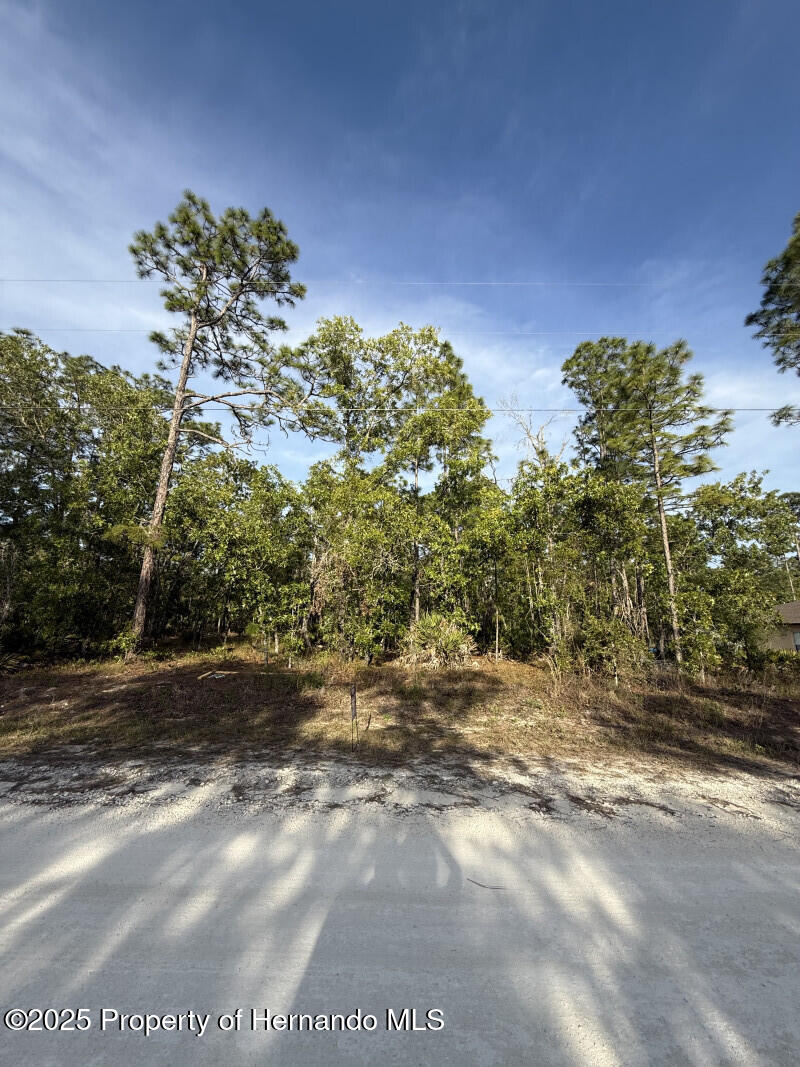 LOT20 Macassar Rd, Weeki Wachee, FL 34614