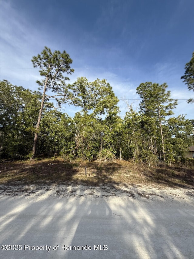 LOT20 Macassar Rd, Weeki Wachee, FL 34614
