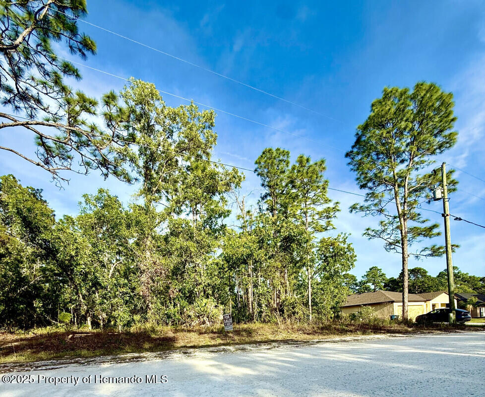 LOT20 Macassar Rd, Weeki Wachee, FL 34614