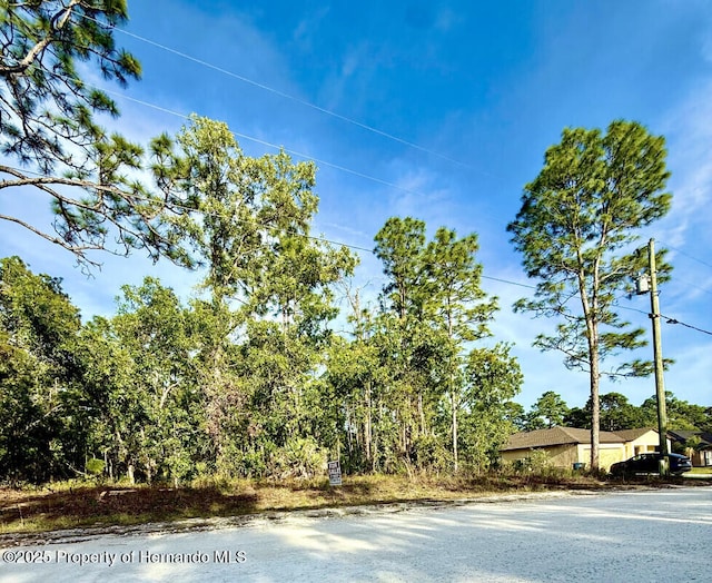 LOT20 Macassar Rd, Weeki Wachee, FL 34614