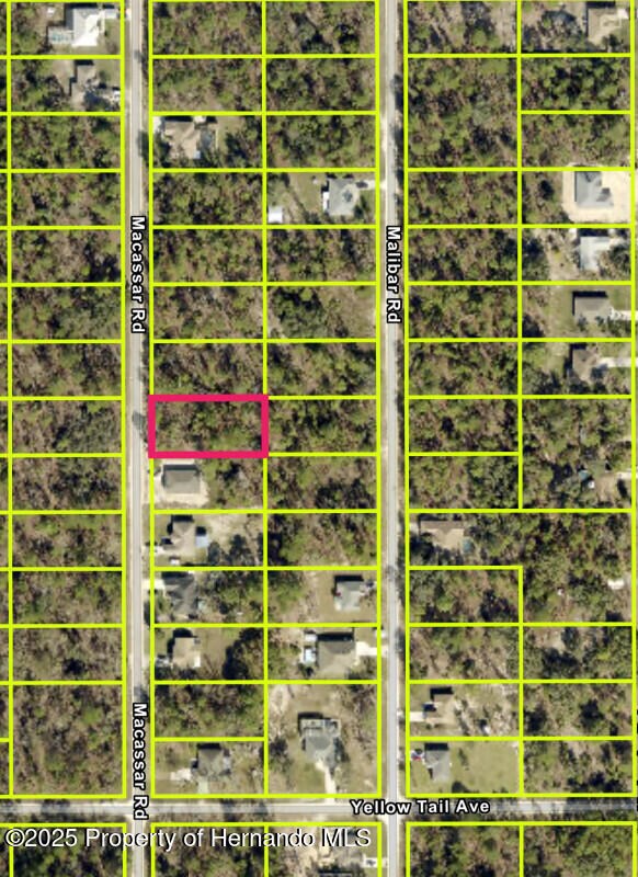 LOT20 Macassar Rd, Weeki Wachee, FL 34614
