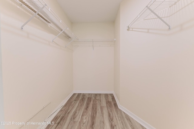 spacious closet with wood finished floors