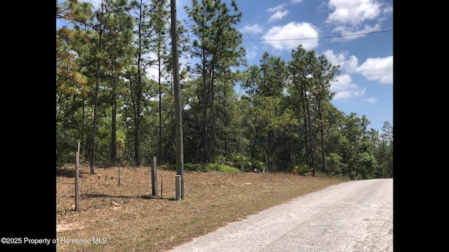 LOT13 Colonel Ave, Webster, FL 33597